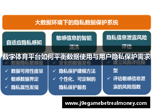 数字体育平台如何平衡数据使用与用户隐私保护需求